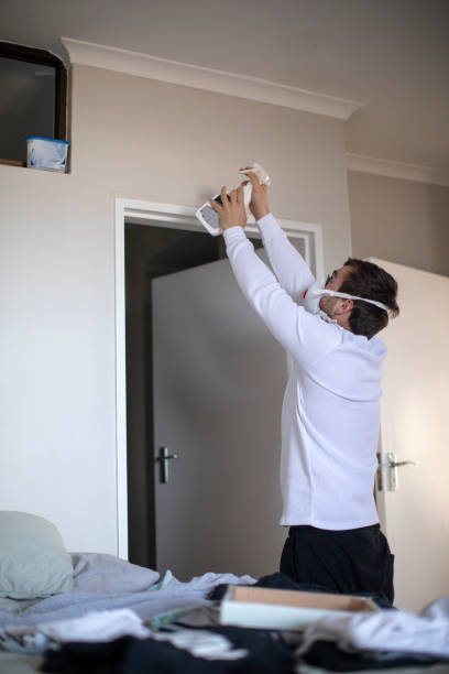 Environmental Consulting for Mold Prevention in Kendall, FL